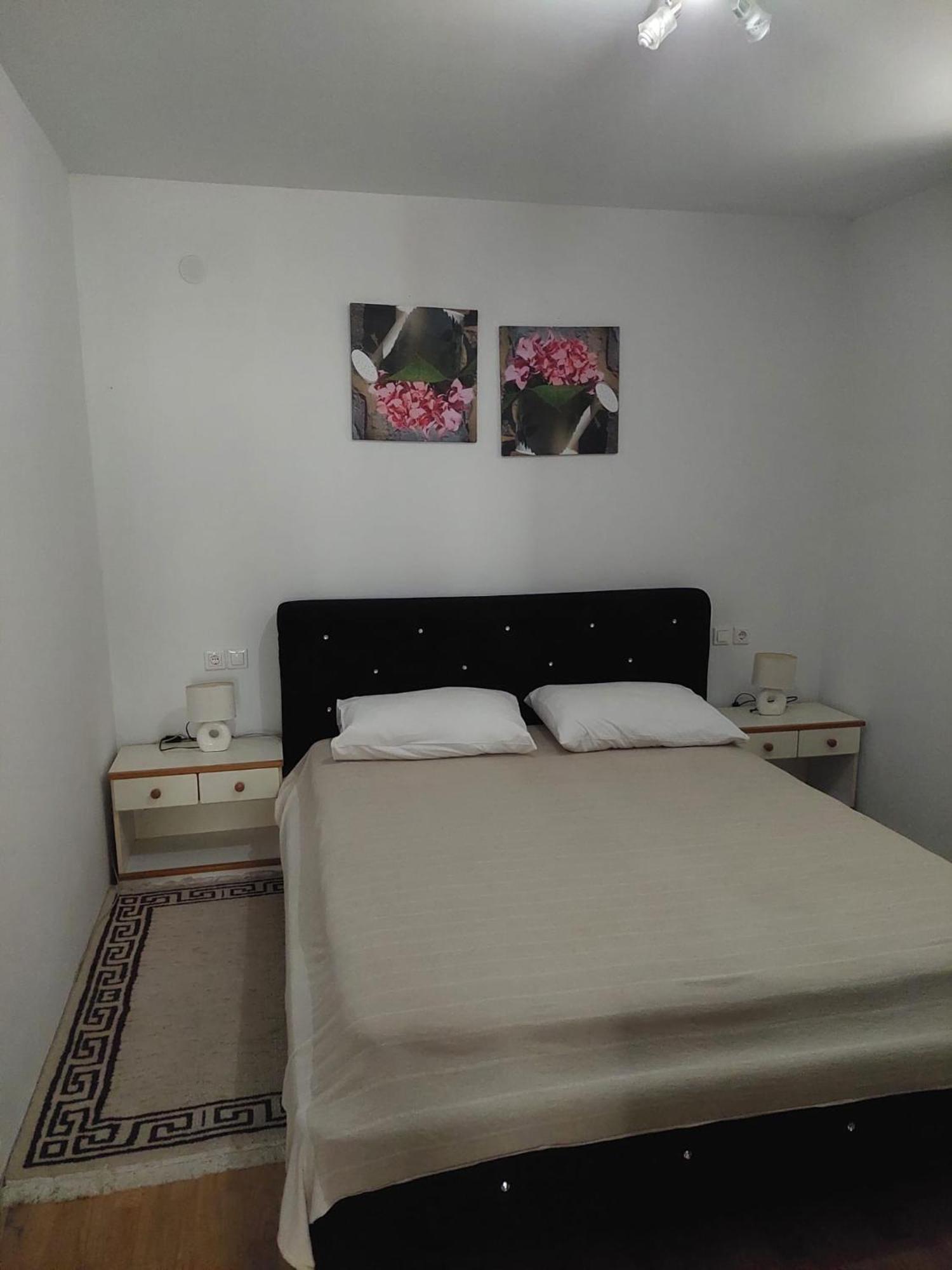 Apartments Ivana Diklo Zadar Bagian luar foto