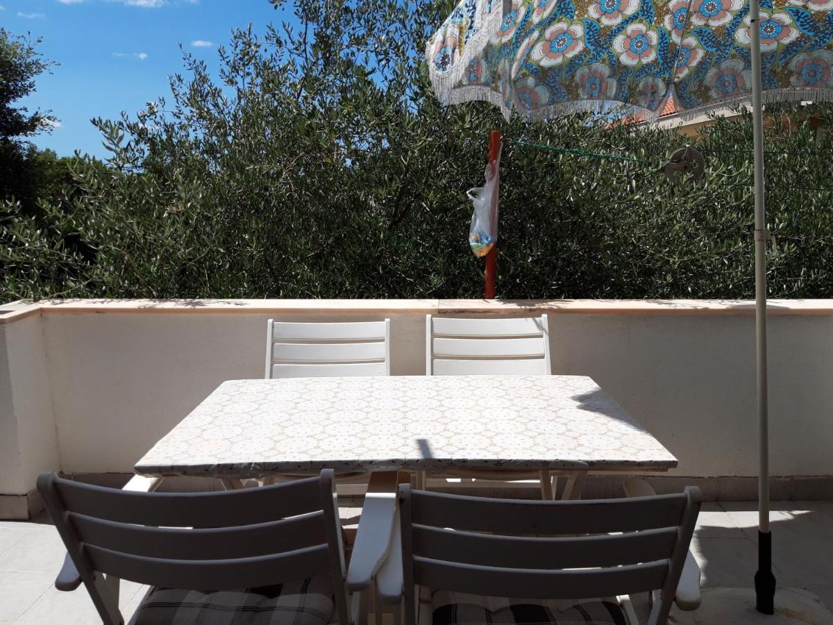 Apartments Ivana Diklo Zadar Bagian luar foto
